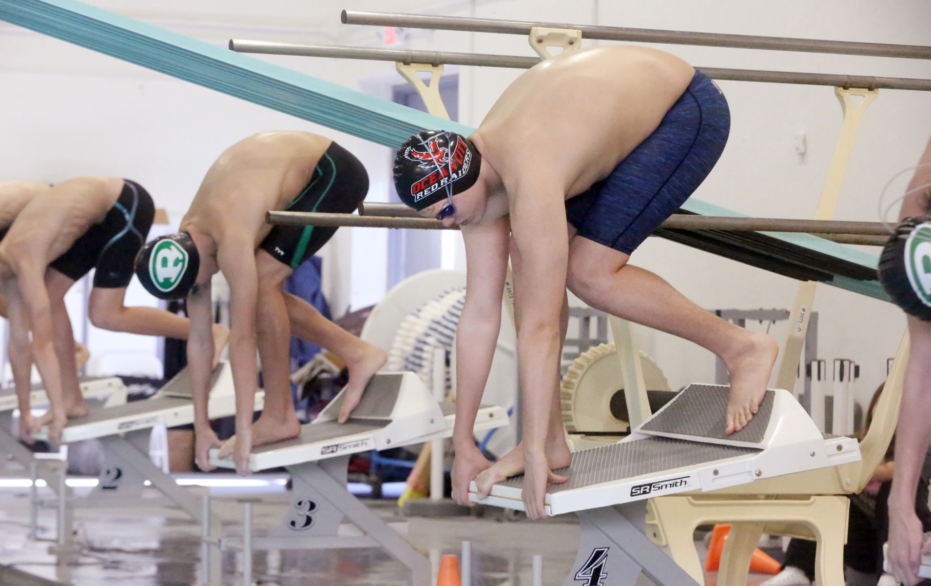 Ocean City Ridley Swimming